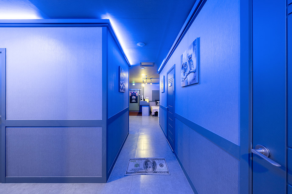 상세이미지설명