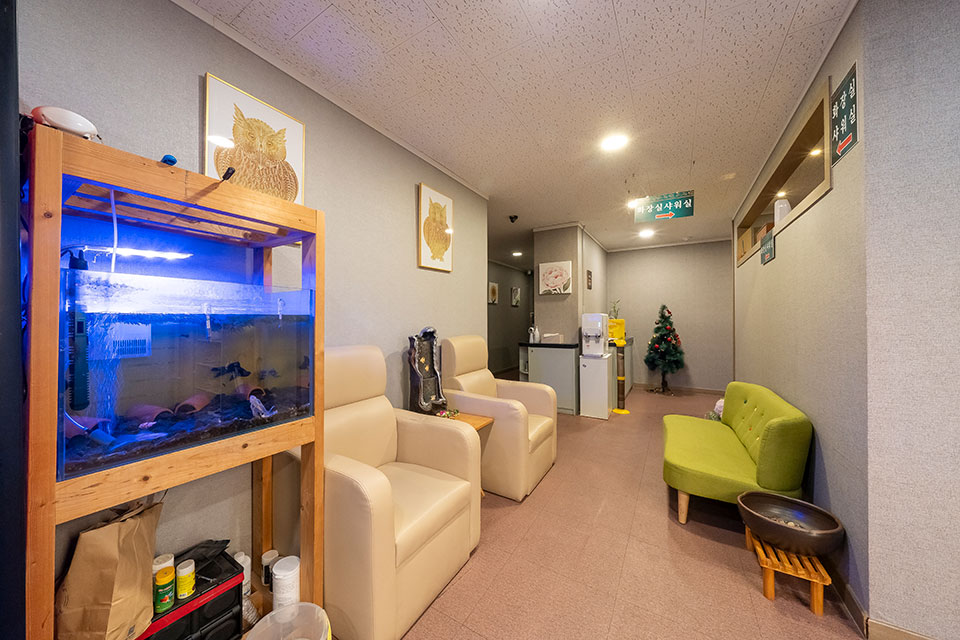 상세이미지설명