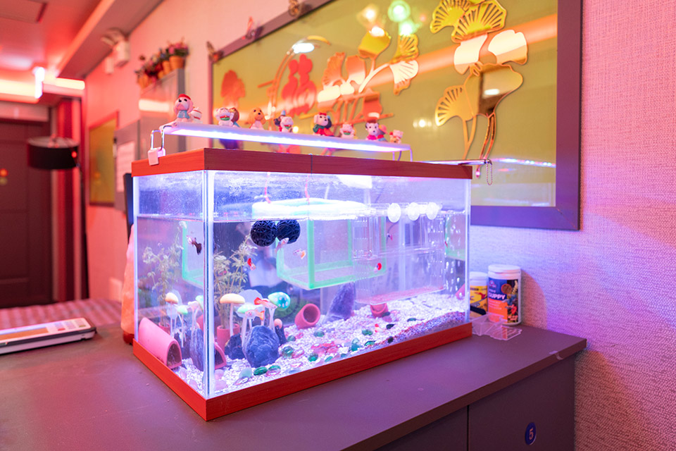 상세이미지설명