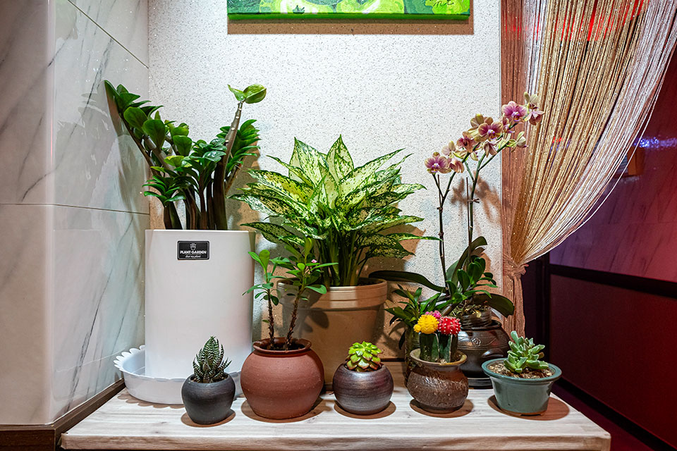 상세이미지설명