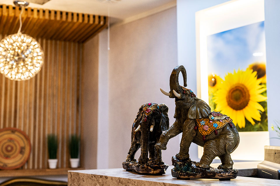 상세이미지설명