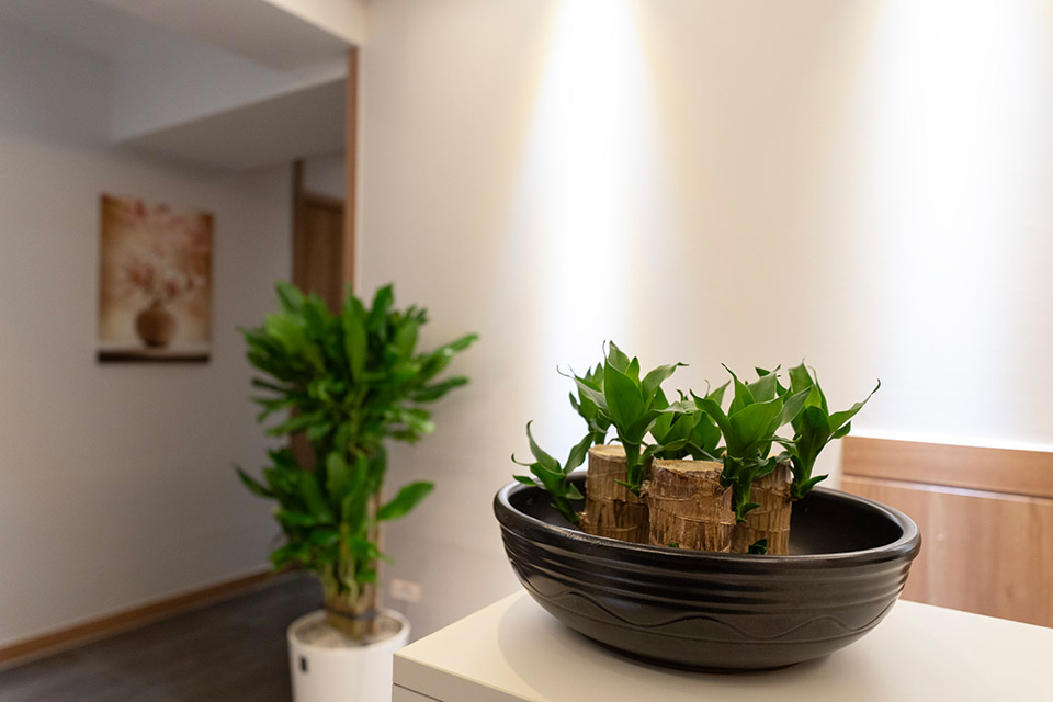 상세이미지설명