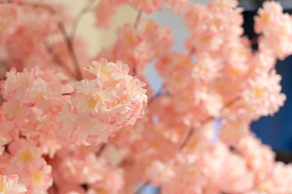 상세이미지설명