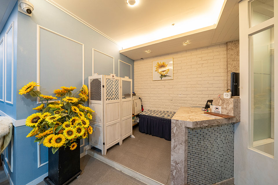 상세이미지설명