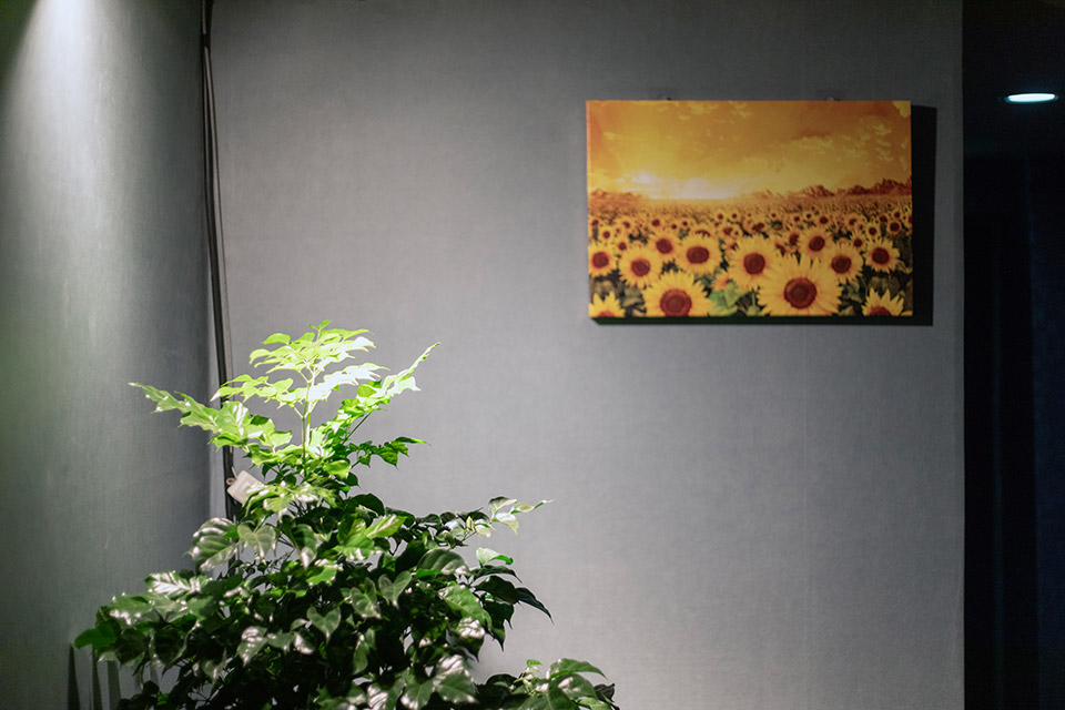 상세이미지설명